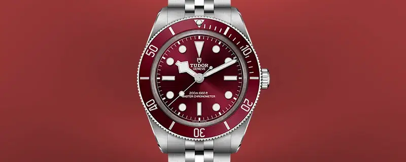 Shop Tudor Watches