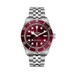 explore our Tudor collection