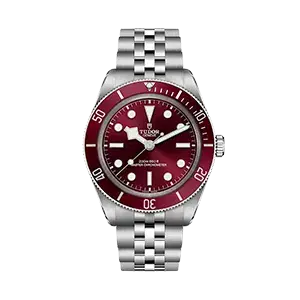 Shop Tudor Watches