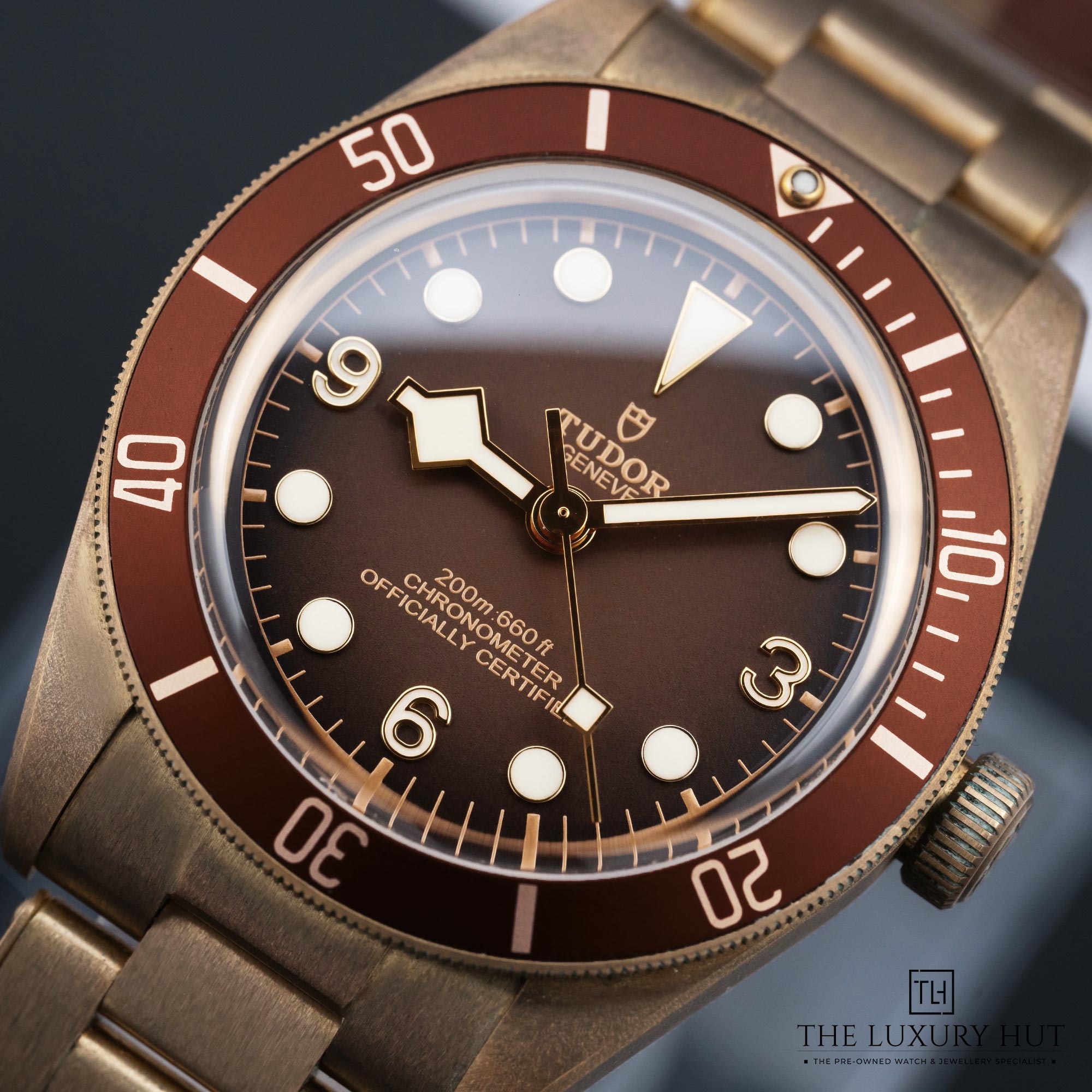 2025/05/Tudor_Boutique_Edition_Black_Bay_58_LB611-e.jpg