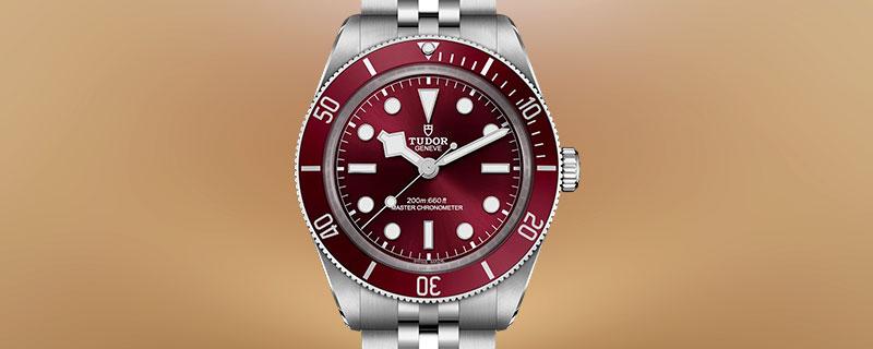 Shop Tudor Watches